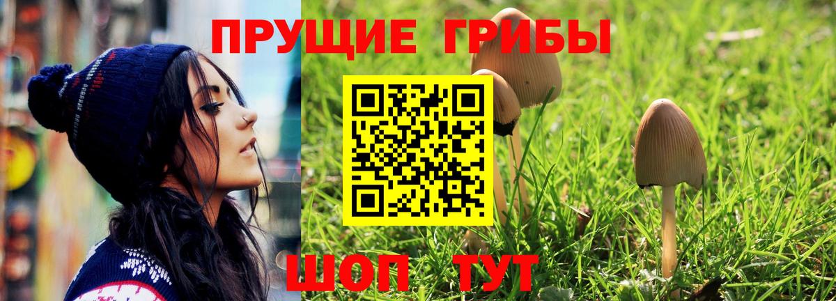 Галлюциногенные грибы Psilocybine cubensis  Галлюциногенные грибы прущие грибы  Вход с VPN  Белово 